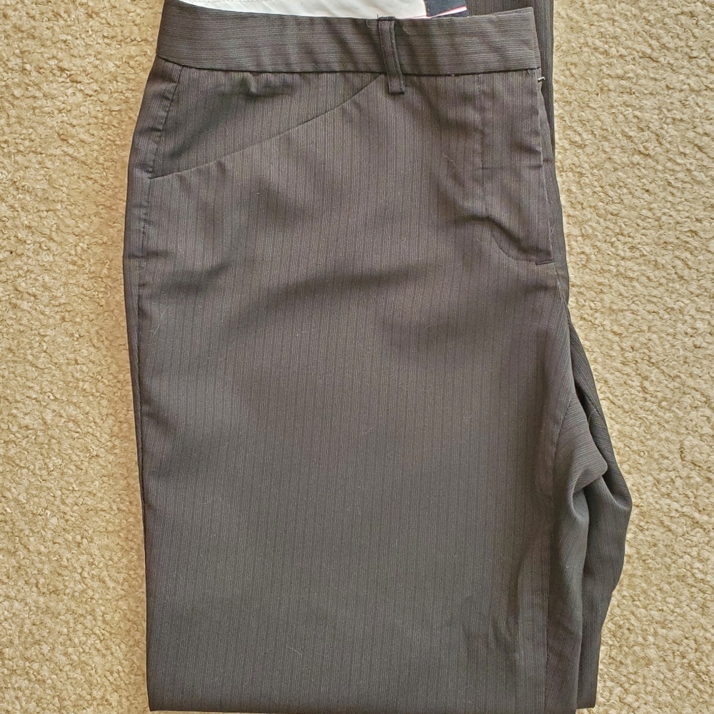The Limited Drew Fit Pants 👖